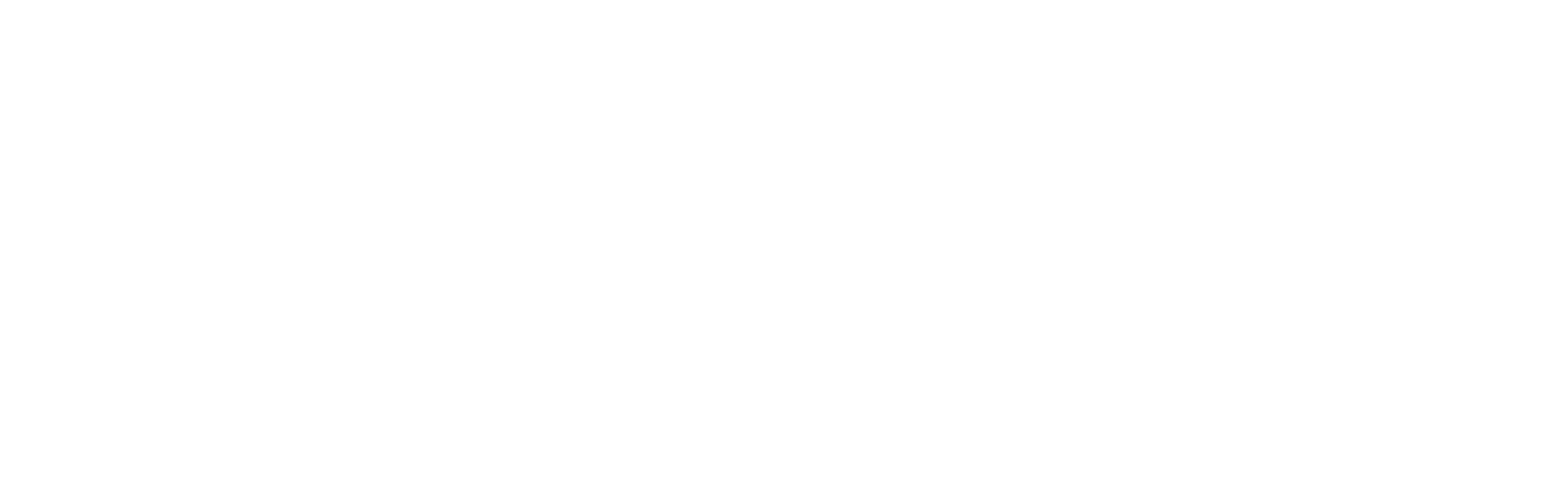 DokterSpesial Logo